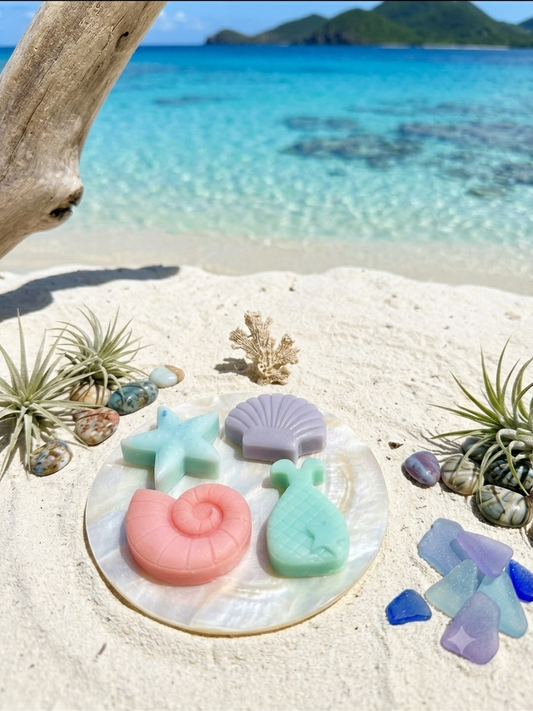 Paradis Blanc