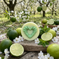 Chamallow Citron Vert